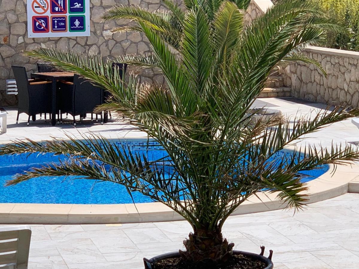 Apartments Albatross Novalja Εξωτερικό φωτογραφία