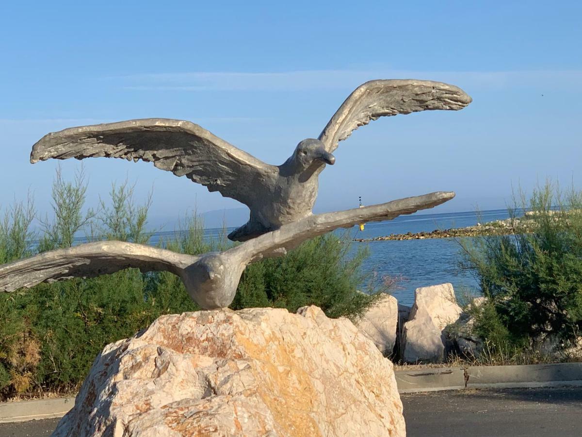Apartments Albatross Novalja Εξωτερικό φωτογραφία