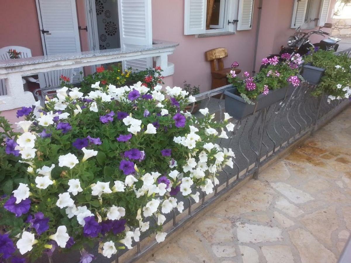 Apartments Albatross Novalja Εξωτερικό φωτογραφία